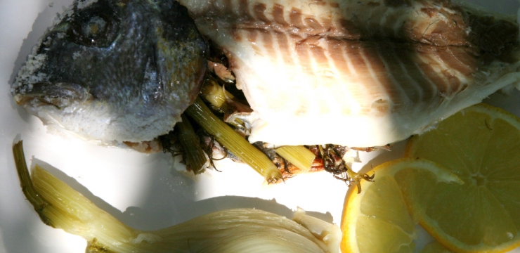 Dorades au gros sel et fenouil